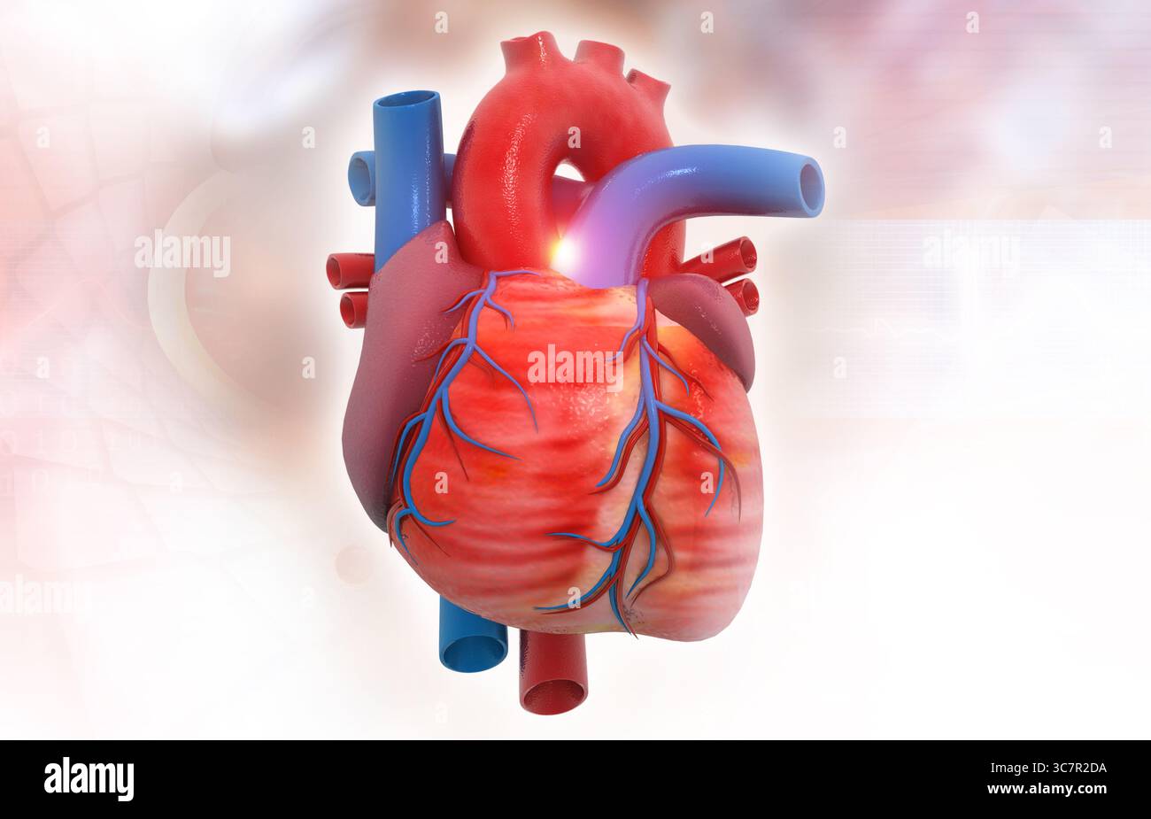 Anatomia del cuore umano su sfondo medico. rendering 3d. Foto Stock