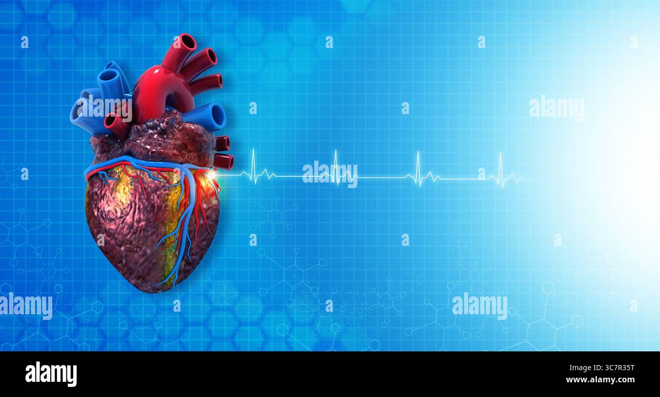Anatomia del cuore umano su sfondo medico ecg. rendering 3d. Foto Stock