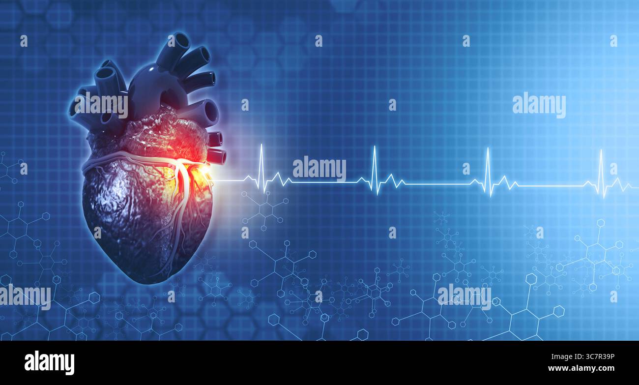Anatomia del cuore umano su sfondo medico ecg. rendering 3d. Foto Stock