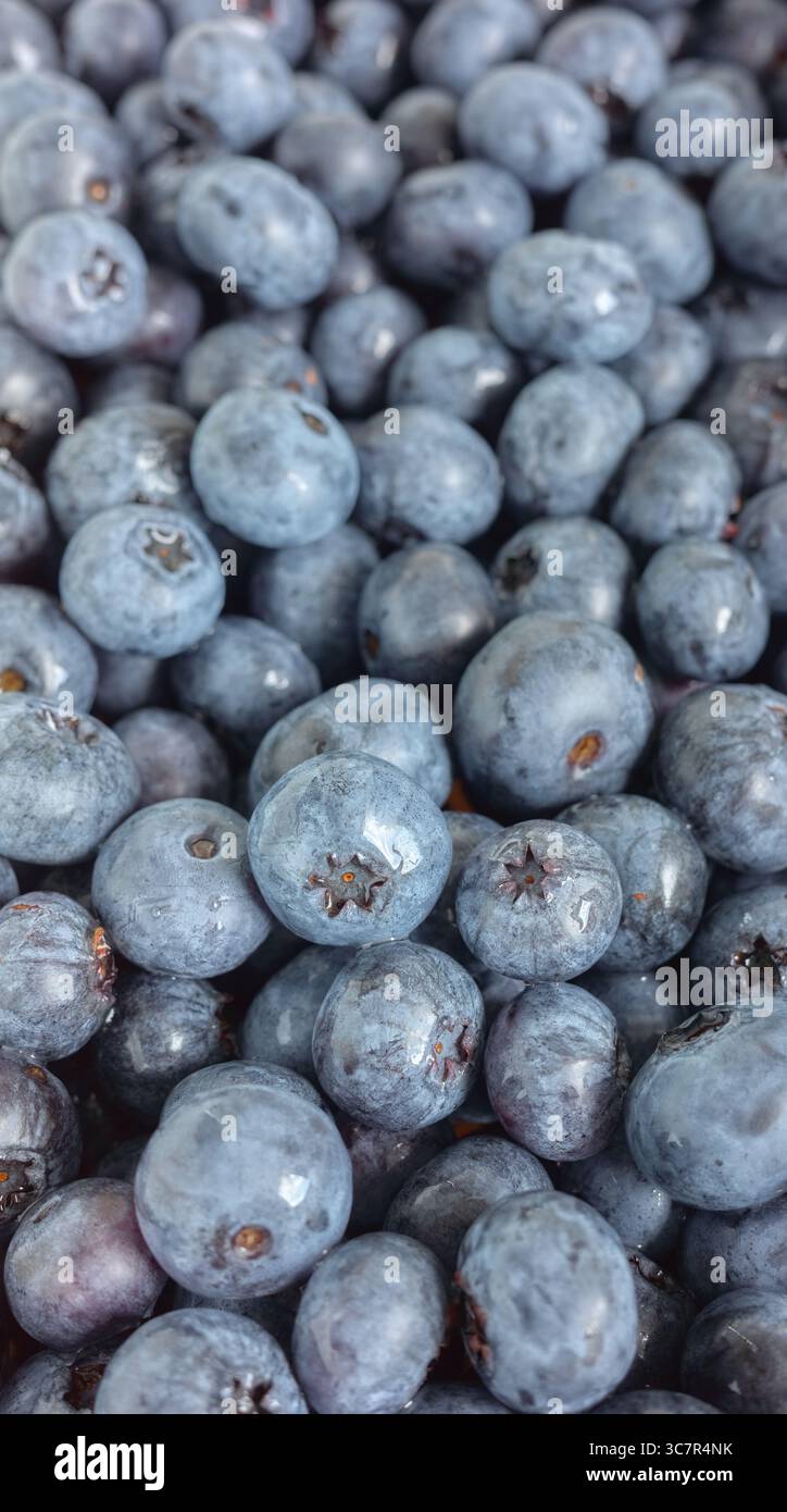 Foto ravvicinata di mirtilli freschi, messa a fuoco selettiva. Foto Stock