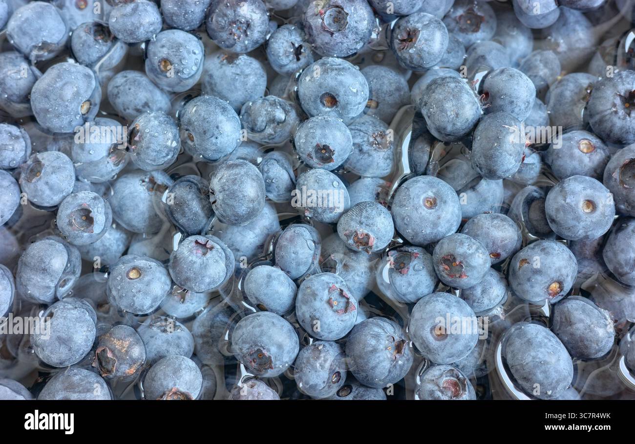 Foto ravvicinata di mirtilli freschi, messa a fuoco selettiva. Foto Stock