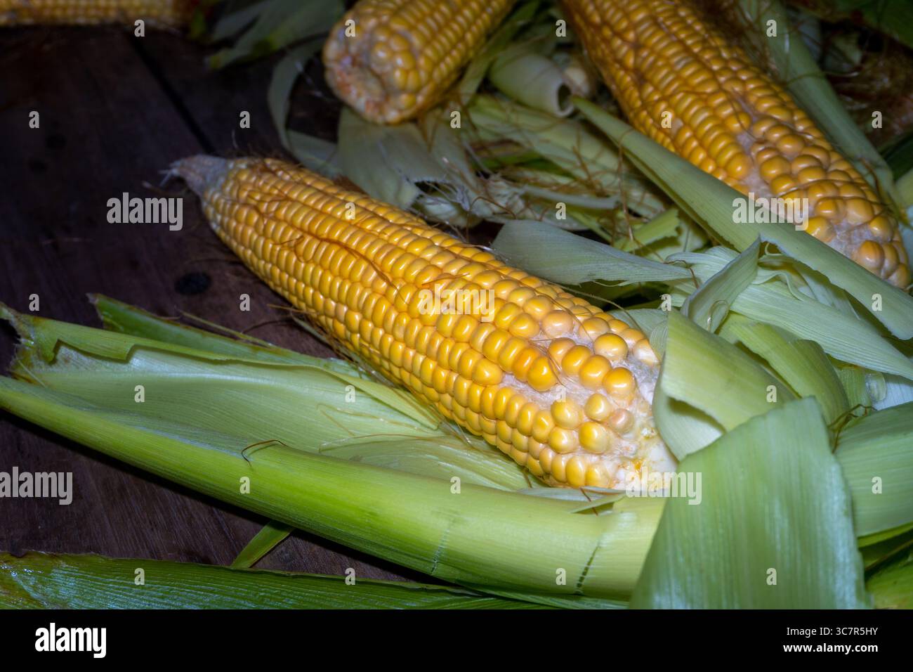 Pannocchie di mais fresche (Zea mays) con buccia esterna intatta, poste su un bordo rustico in una cucina tradizionale indiana Foto Stock