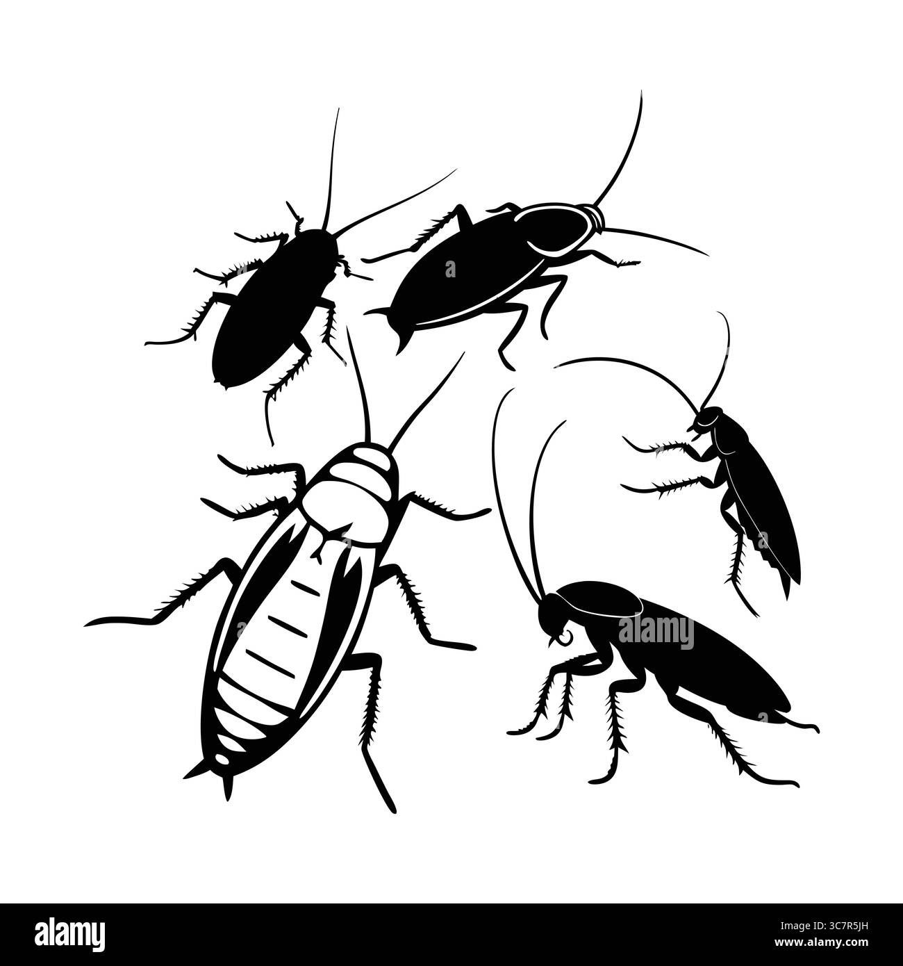 Illustrazione della silhouette di American Cockroach Roaches raffiguranti insetti e infestazione di Pest Illustrazione Vettoriale