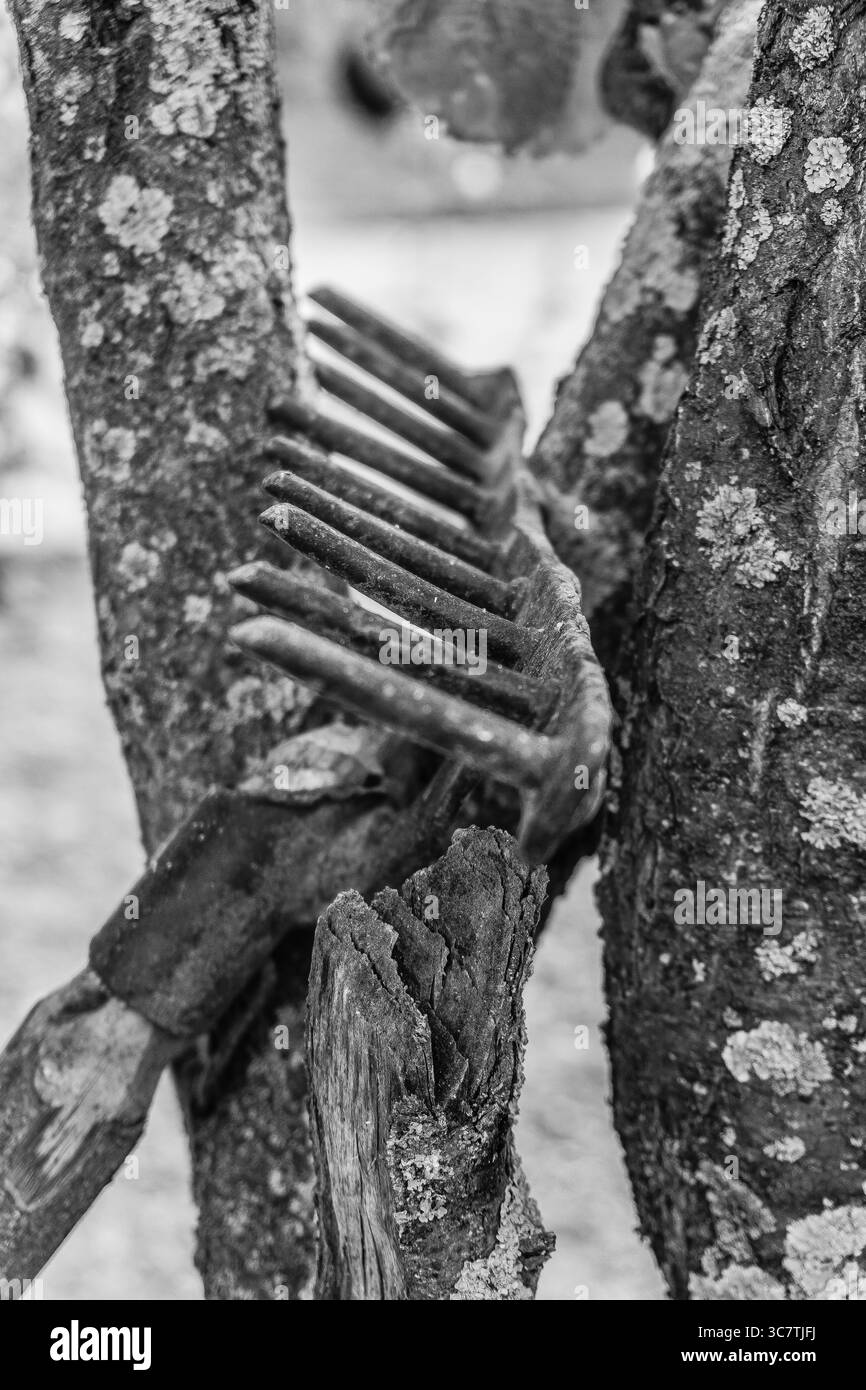 Stile di vita rurale. Concetto di giardinaggio e tranquillità. Foto Stock