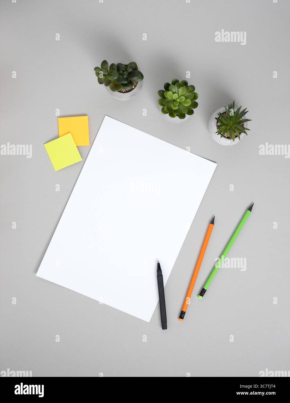 Foglio bianco di carta, adesivi, penna e matite, piante per la casa su sfondo grigio. Spazio per il testo. Foto Stock