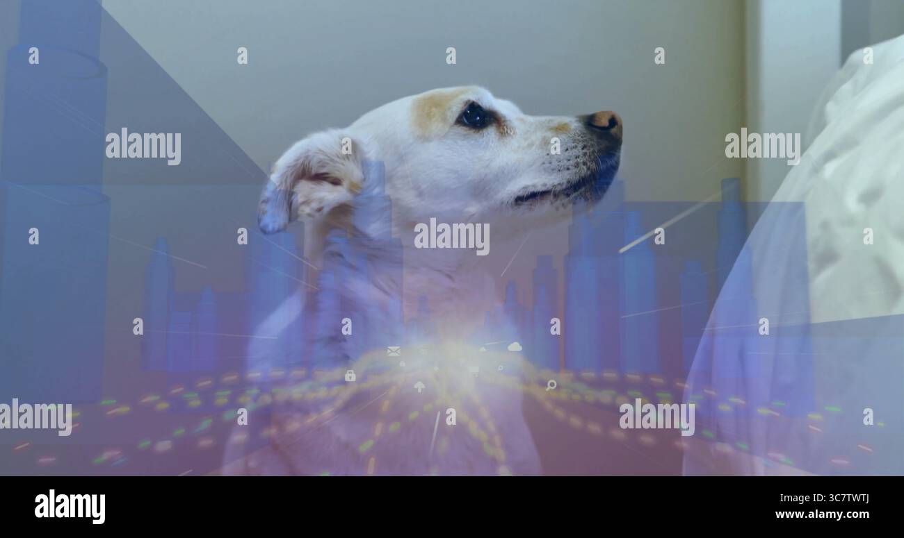 Cane bianco di medie dimensioni che guarda in alto a destra sul letto, con rivestimento digitale stilizzato Foto Stock