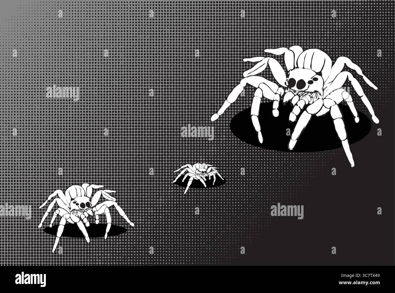 Ragno bianco strisciante su sfondo BIANCO Illustrazione Vettoriale