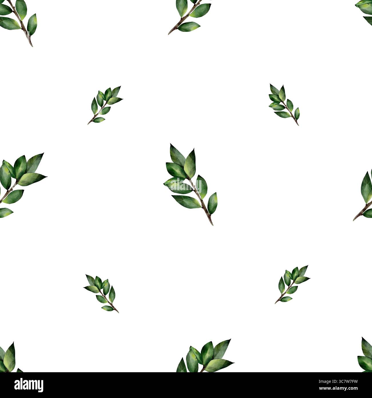 Motivo acquerello senza cuciture con ramoscelli verdi con foglie. Illustrazione botanica, isolata su sfondo bianco. Per tessuti, stampe, tovaglie, inviti, tende. Disegnato a mano Foto Stock