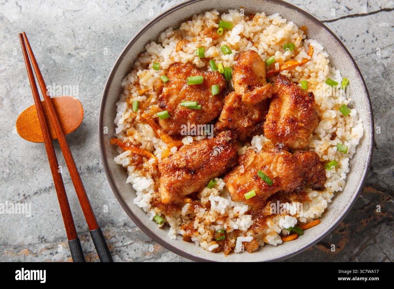 Tori meshi cibo tradizionale giapponese primo piano pollo e riso nella ciotola sul tavolo. Vista dall'alto orizzontale Foto Stock
