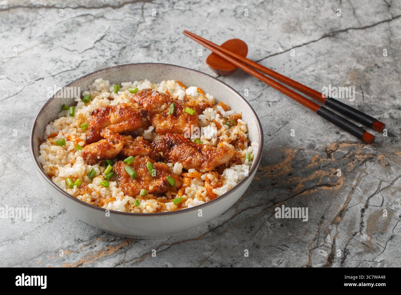 Tori meshi cibo tradizionale giapponese primo piano pollo e riso nella ciotola sul tavolo. Orizzontale Foto Stock