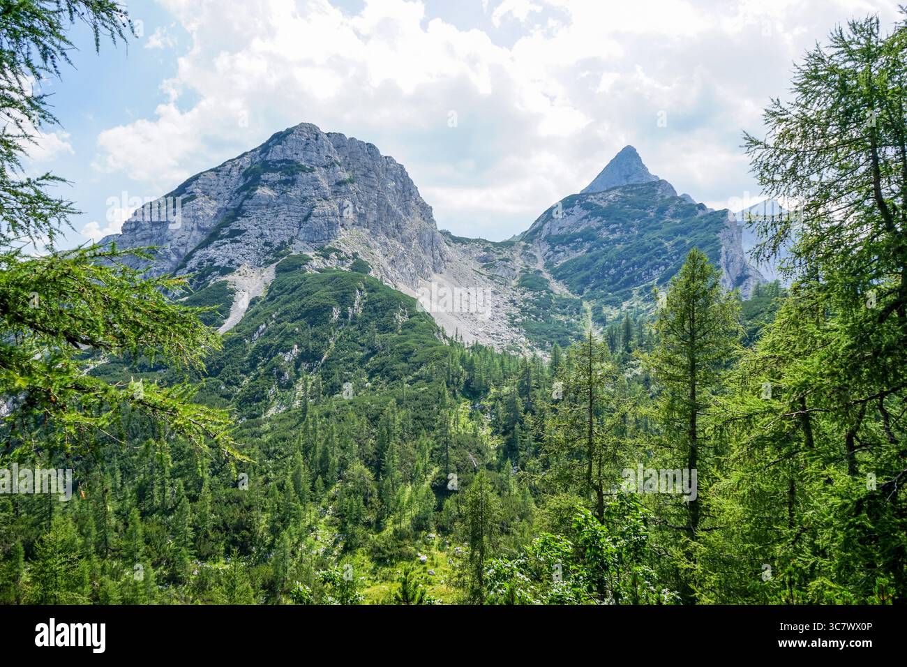 Picco Viševnik da nord-est, Slovenia Foto Stock