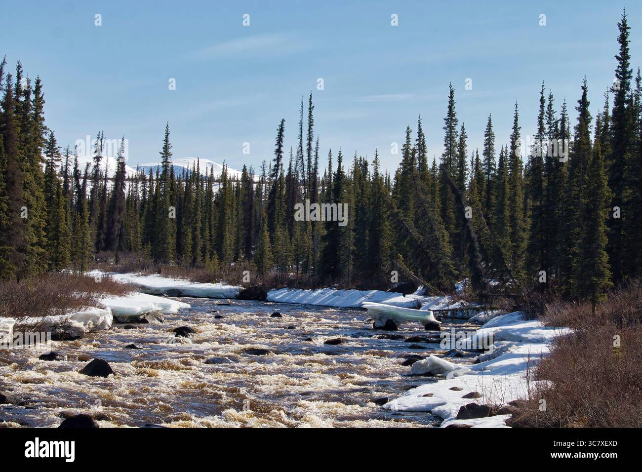 Neve e ghiaccio sul bordo del ruscello sulla Denali Highway in una giornata di primavera soleggiata in Alaska. Foto Stock