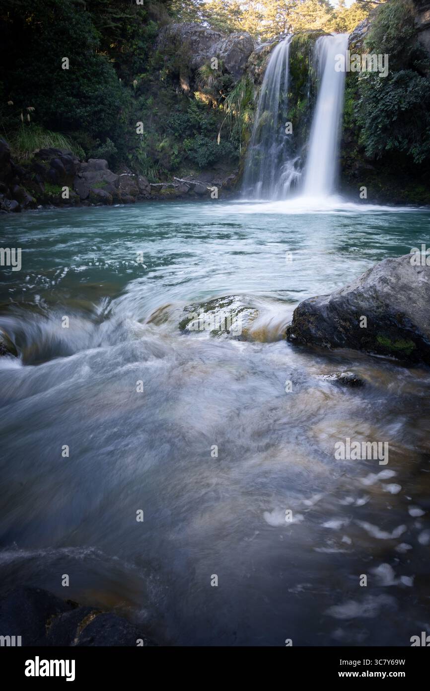 Ripresa verticale di una splendida cascata in una fitta foresta, la nuova Zelanda Foto Stock
