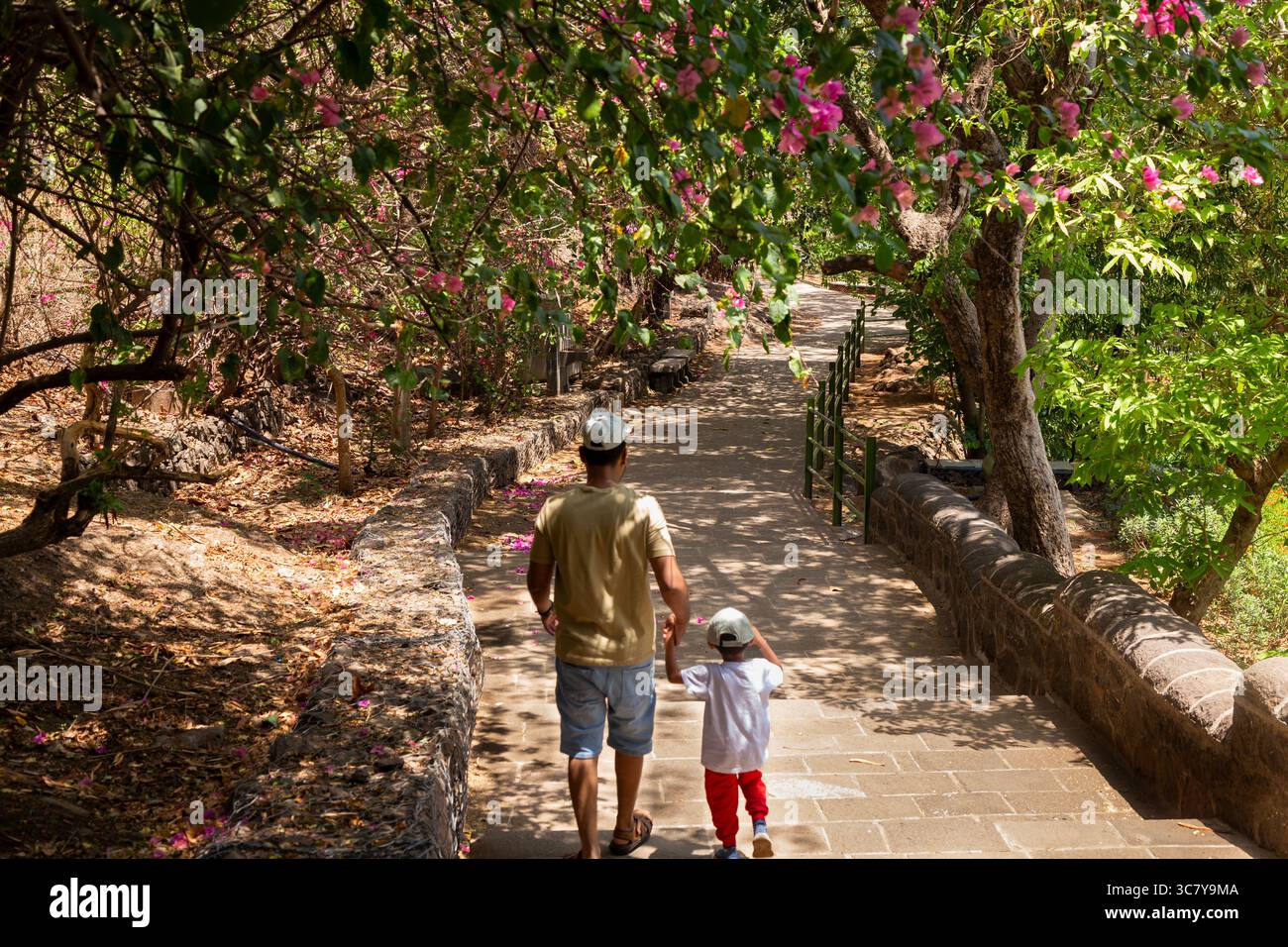 Un padre e un figlio camminano mano nella mano lungo un sentiero panoramico in pietra circondato da vegetazione lussureggiante e fiori rosa in fiore. Legame familiare e passeggiata nella natura. Foto Stock