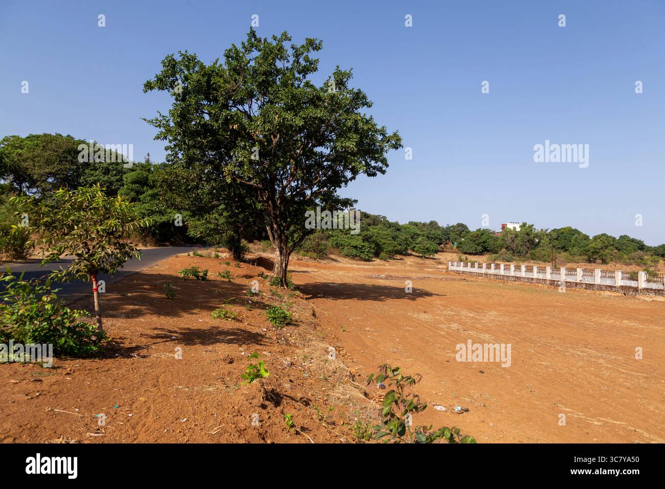un paesaggio rurale con un mix di verde e terra arida, caratterizzato da una strada alberata sulla sinistra e da un campo aperto delimitato da una recinzione bianca. Foto Stock
