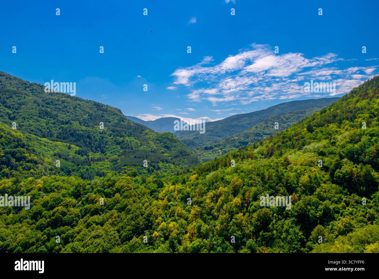 Un'ampia valle di montagna ricoperta di vibranti alberi verdi si estende in lontananza sotto un cielo blu luminoso con nuvole chiare. Foto Stock