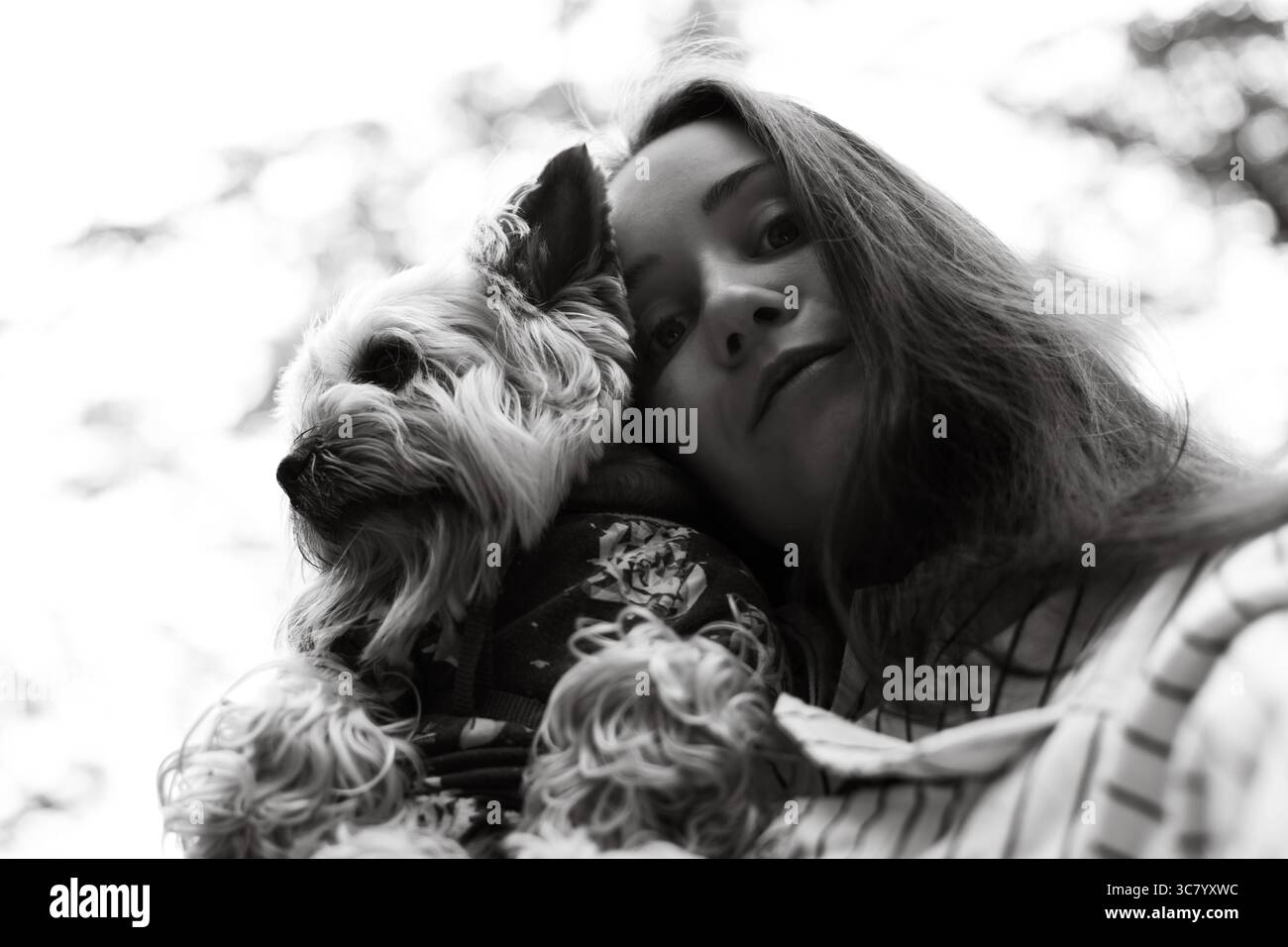Foto in bianco e nero di una donna che abbraccia un cane all'aperto. Una ragazza tiene con amore il suo cane da cagnolino yorkie che condivide i momenti insieme. Un animale domestico umano e canino. Em Foto Stock