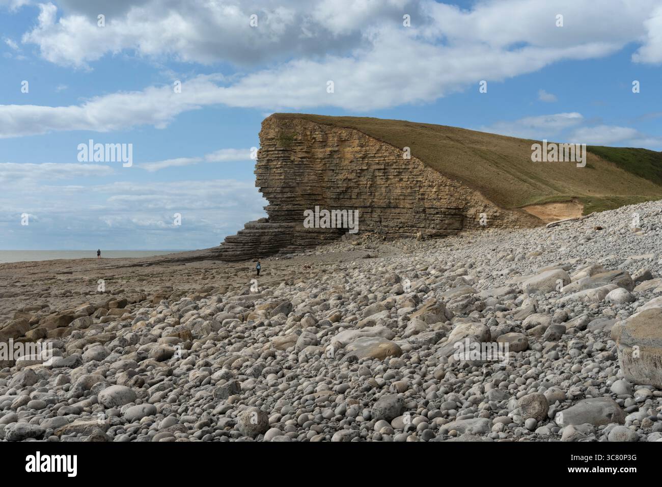 Gli escursionisti esplorano la spiaggia rocciosa di Nash Point, Galles, Regno Unito. Le scogliere a strati sono un luogo popolare per passeggiate lungo la costa e la caccia ai fossili. Foto Stock
