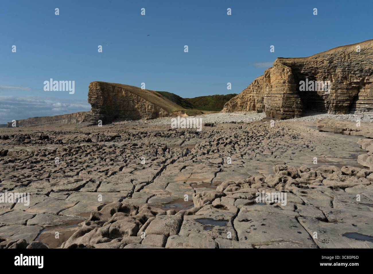 La bassa marea rivela le formazioni rocciose uniche di Nash Point, Galles del Sud. I visitatori esplorano la costa esposta, attratta dalla bellezza geologica della zona. Foto Stock
