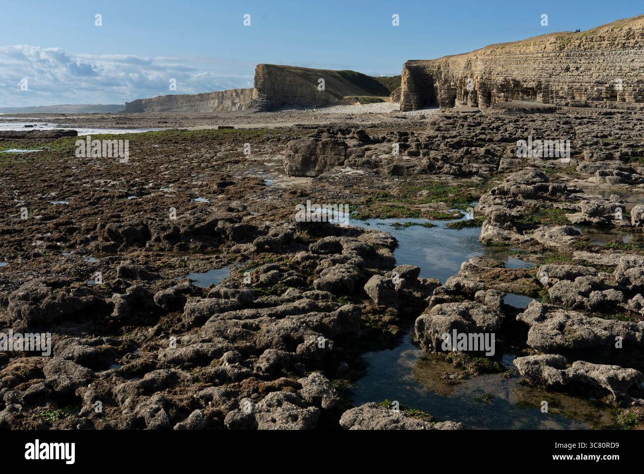 La bassa marea rivela il paesaggio roccioso di Nash Point, Galles. L'erosione forma le scogliere spettacolari, un luogo popolare per passeggiate lungo la costa e la caccia ai fossili. Foto Stock
