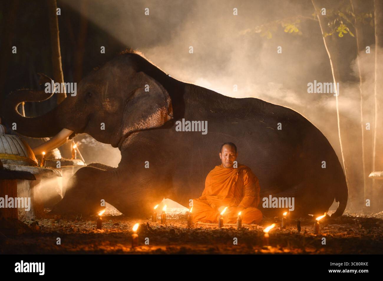 Monaco in una tradizionale veste arancione (kusaya) seduto di fronte a un elefante nella foresta a meditare a lume di candela, Surin, Thailandia Foto Stock