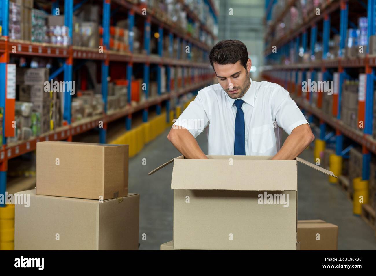 Scatola di imballaggio del supervisore del magazzino su pallet in mezzo a scaffali metallici alti sotto un'illuminazione luminosa Foto Stock
