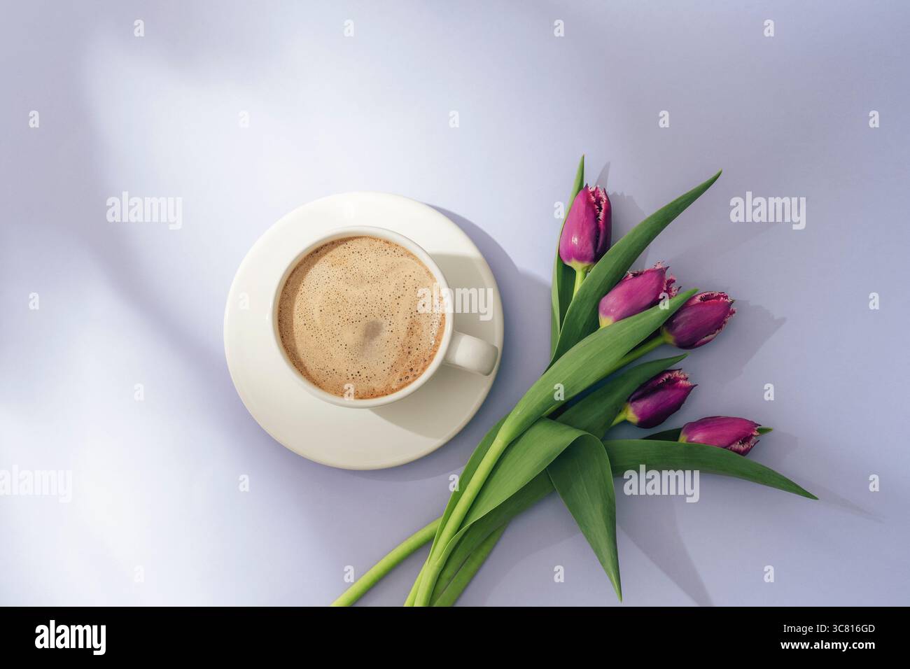 Tazza di caffè con schiuma e tulipani viola su un morbido fondo lavanda alla luce del sole. Vista dall'alto, disposizione piatta. Foto Stock