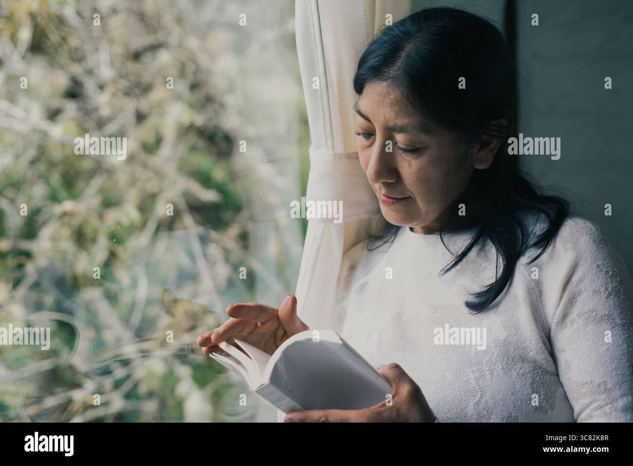 Donna anziana che si gode un libro vicino a una finestra, si immerge nel mondo della letteratura e trova conforto nei momenti tranquilli della sua giornata, surr Foto Stock