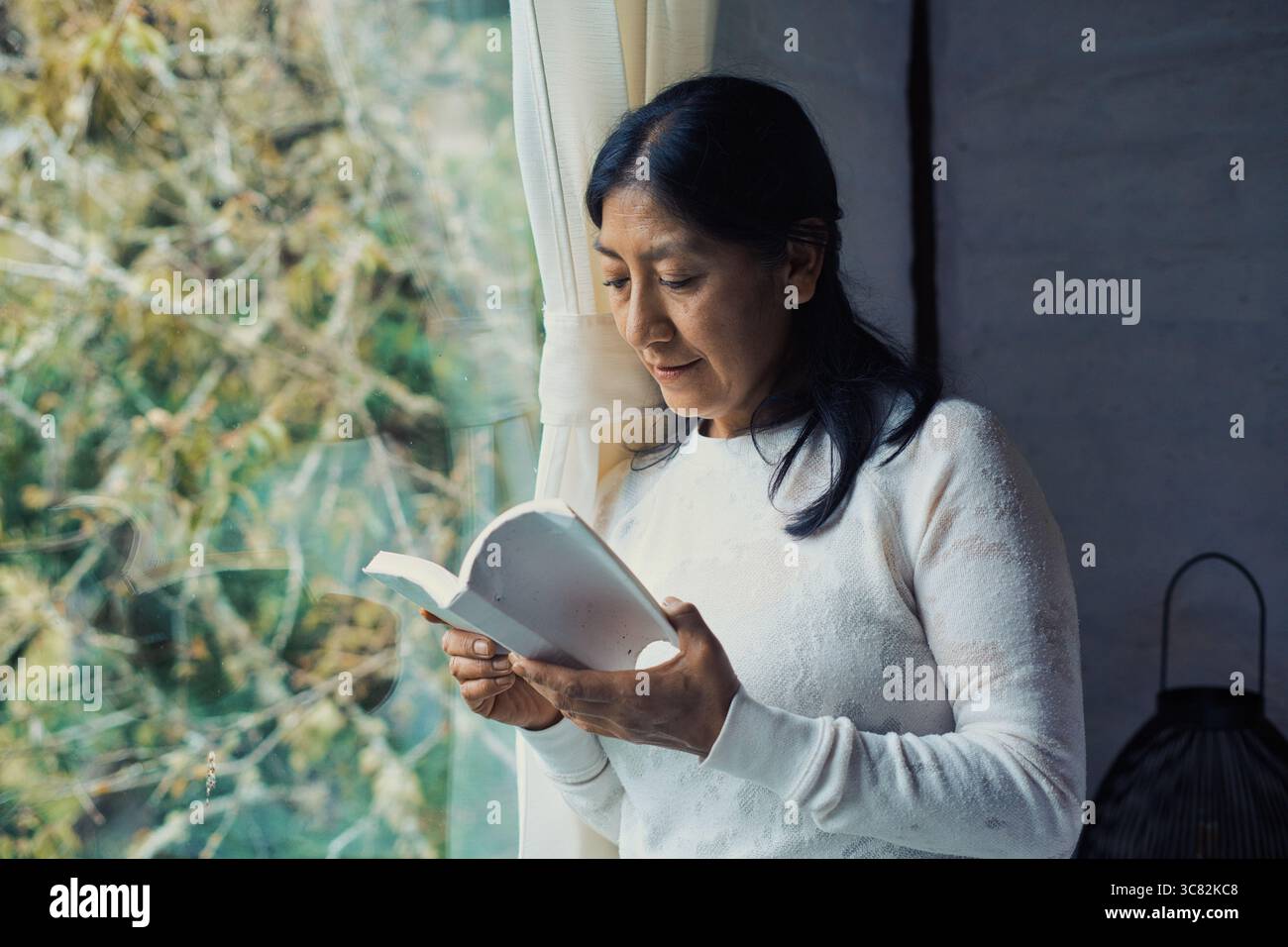 Donna matura che gode di un momento di pace vicino alla finestra, immersa in un libro accattivante, circondata dalla bellezza della natura, abbracciando tranquillità e Foto Stock