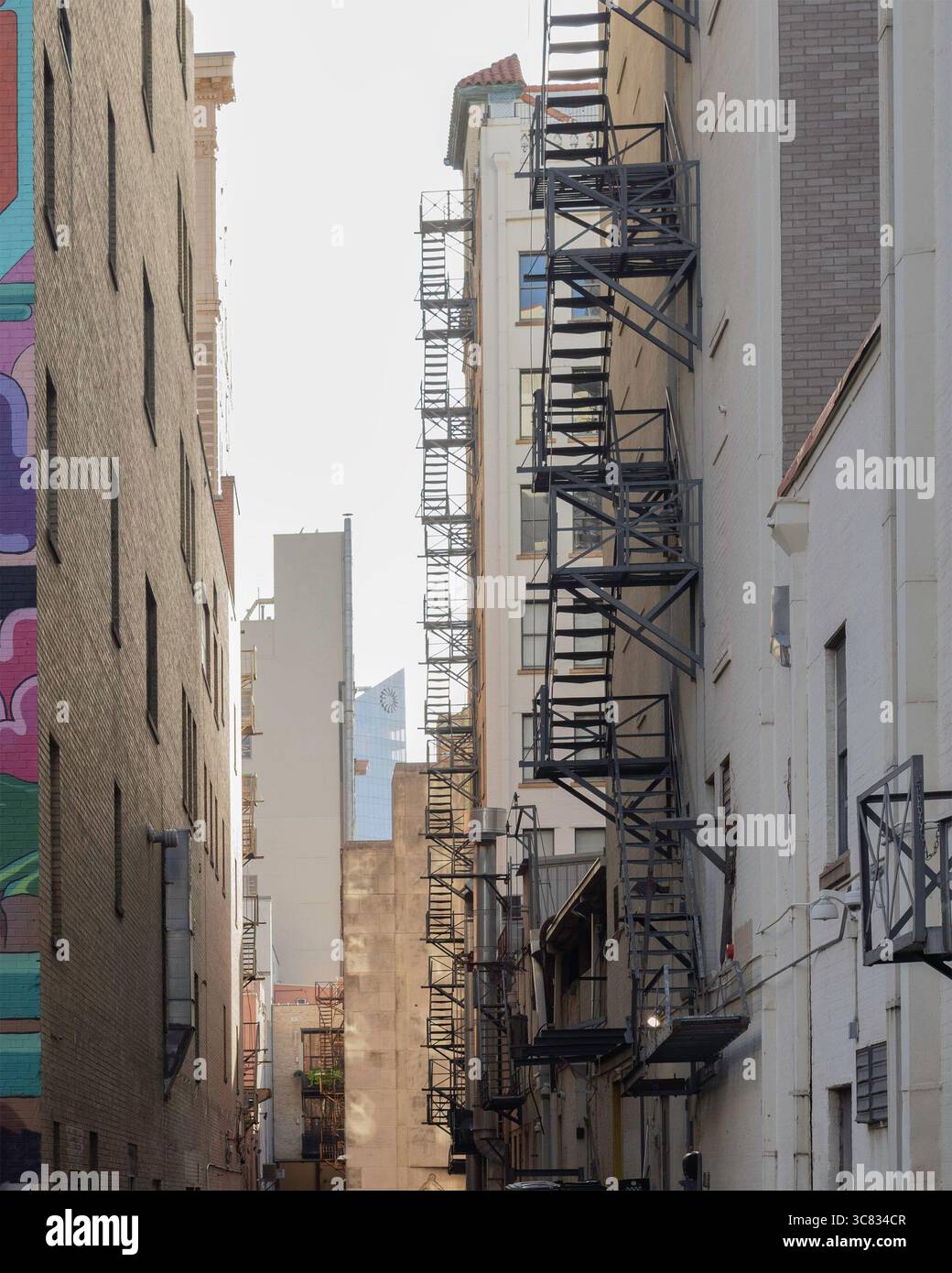 Vista architettonica delle scale esterne nel centro di San Antonio, Texas, che mette in risalto il fascino storico e il design urbano. Foto Stock