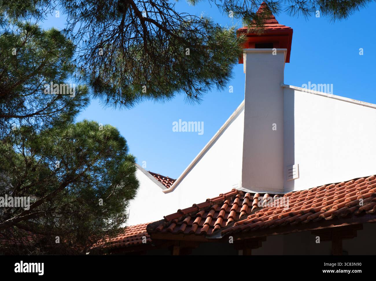 Casa residenziale nella giornata di sole incorniciata da foglie di alberi verdi. Una casa moderna situata in un giardino pieno di alberi Foto Stock