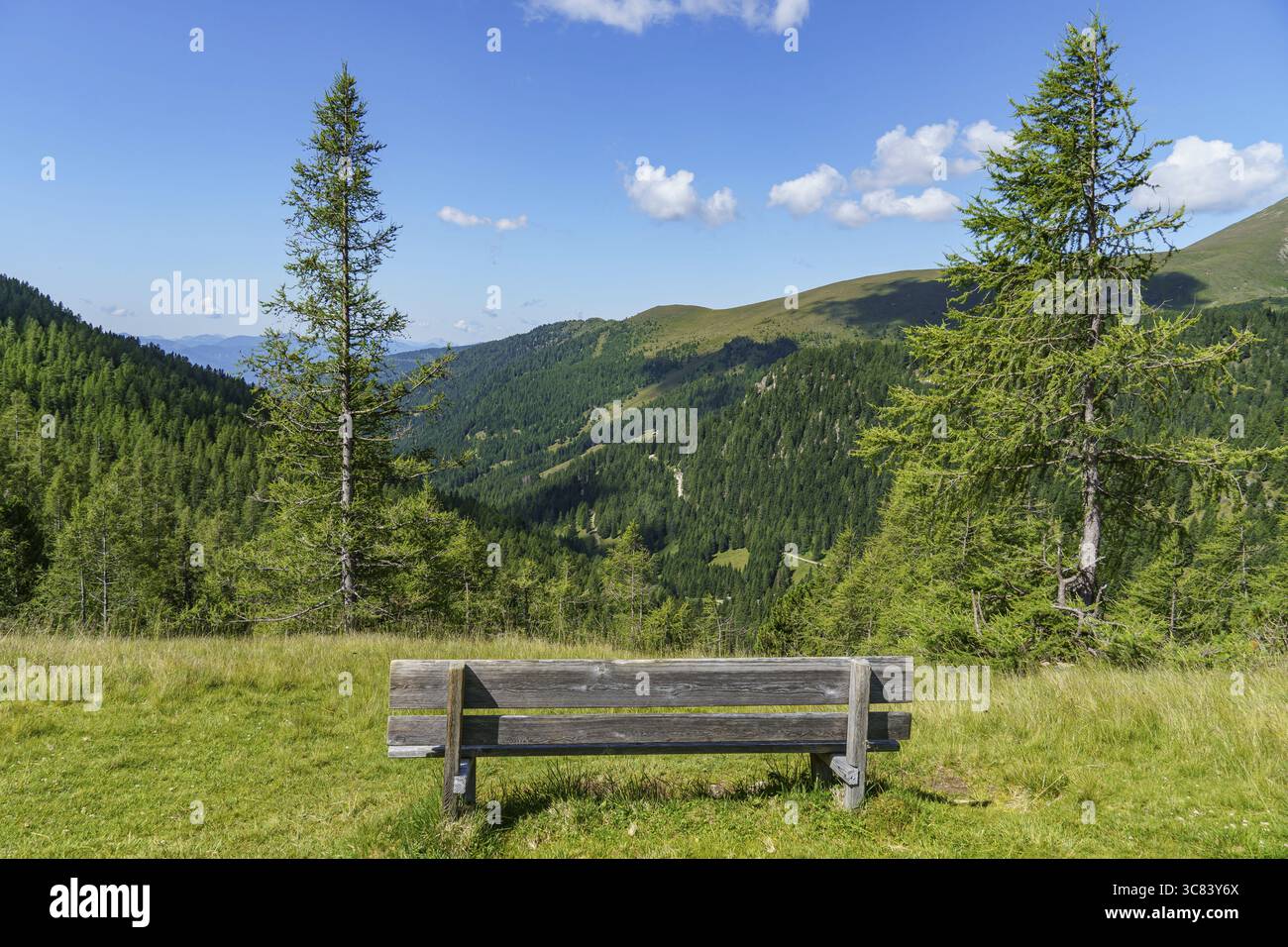 Panchina di legno ai margini di una radura con vista su una valle boscosa di montagna, Bad Kleinkirchheim, Carinzia, Alpi, Austria Foto Stock