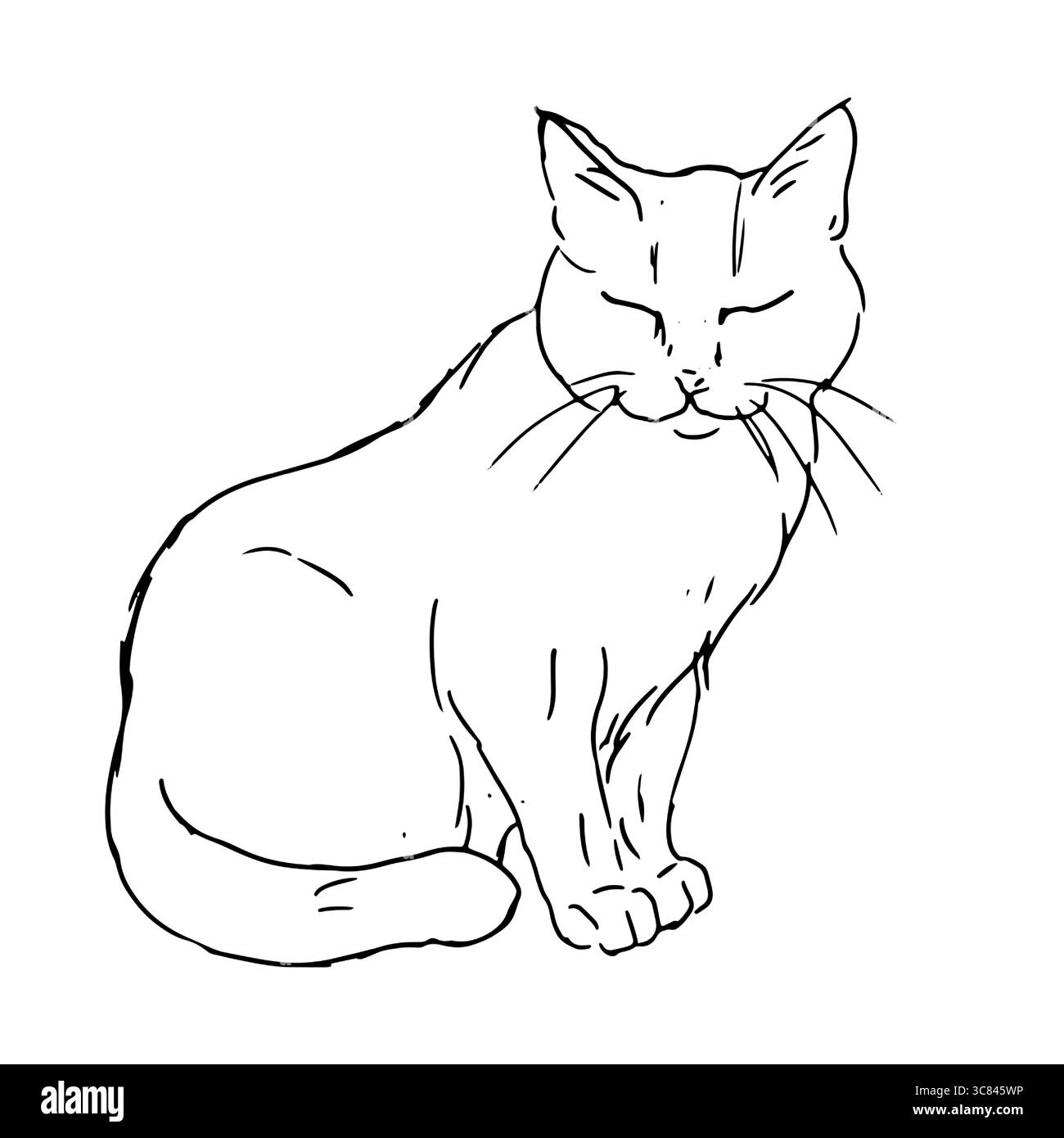 Gatto seduto, schizzo a inchiostro bianco e nero. Illustrazione vettoriale. La silhouette è realizzata in uno stile semplice e lineare. Il tema degli animali, veterinario Illustrazione Vettoriale