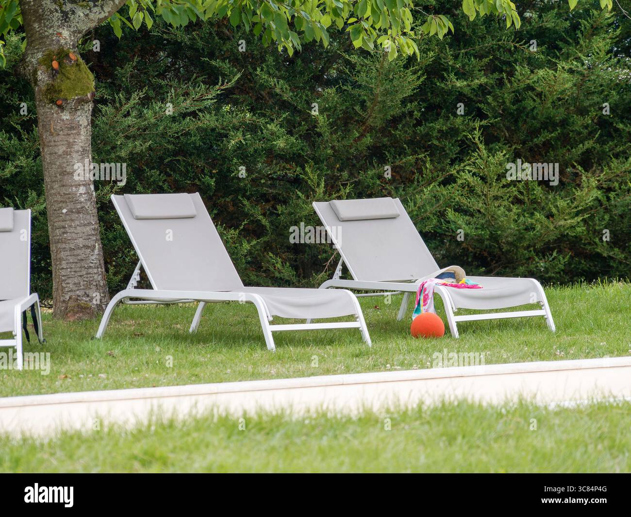 Sedie a sdraio vuote disposte accanto a una piscina coperta in un giardino verde alberato, catturate durante una tranquilla giornata estiva in una posizione di campagna. Foto Stock