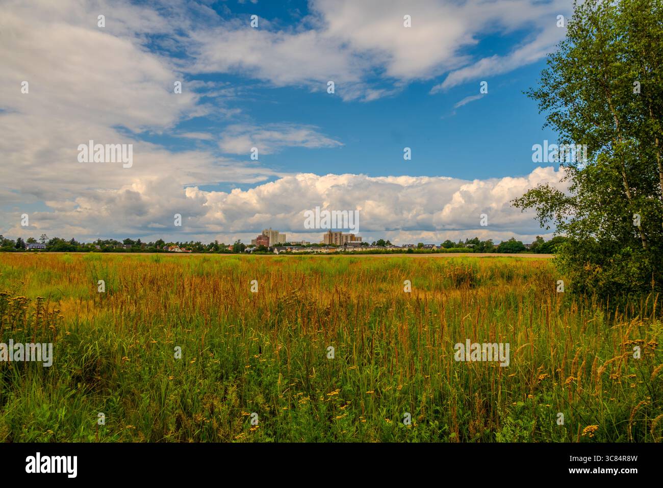 SkyPoint Schönefeld - Skyline Berlino Foto Stock