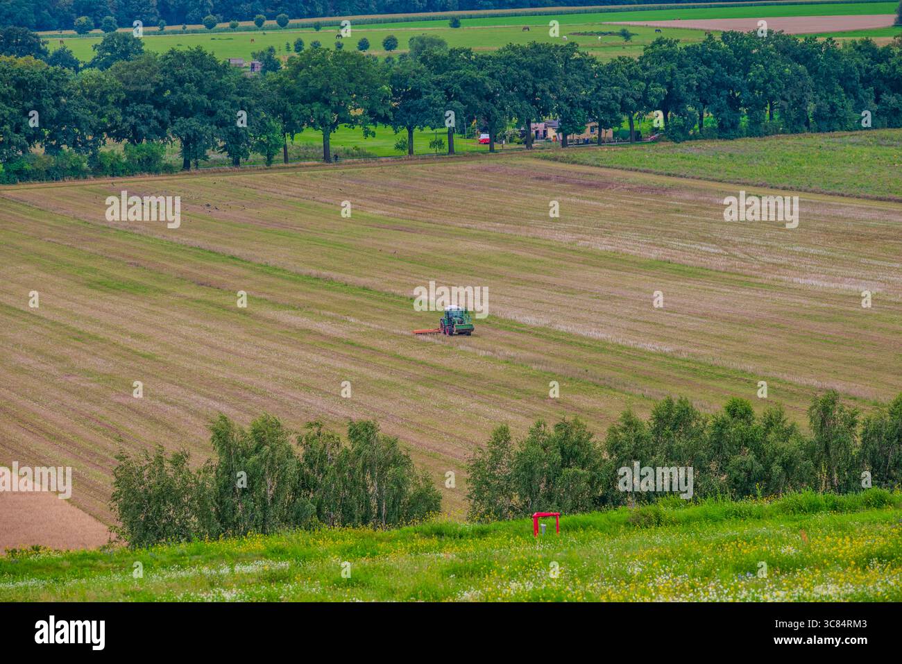 SkyPoint Schönefeld - Skyline Berlino Foto Stock