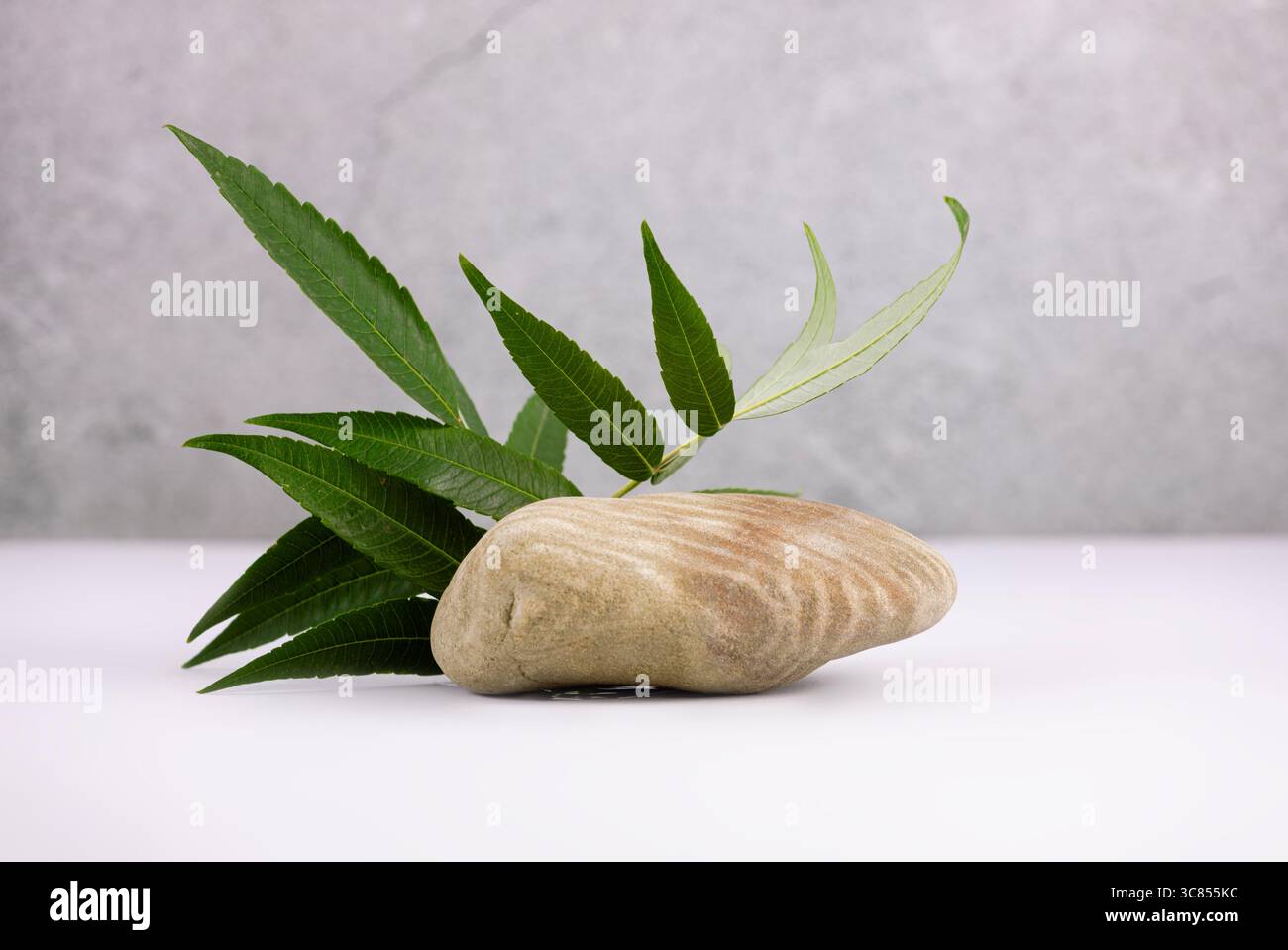 Palcoscenico in pietra, pubblicità, esposizione di promozione del prodotto decorata con foglie, design floreale naturale. Sfondo cosmetico.Vetrina. Foto Stock