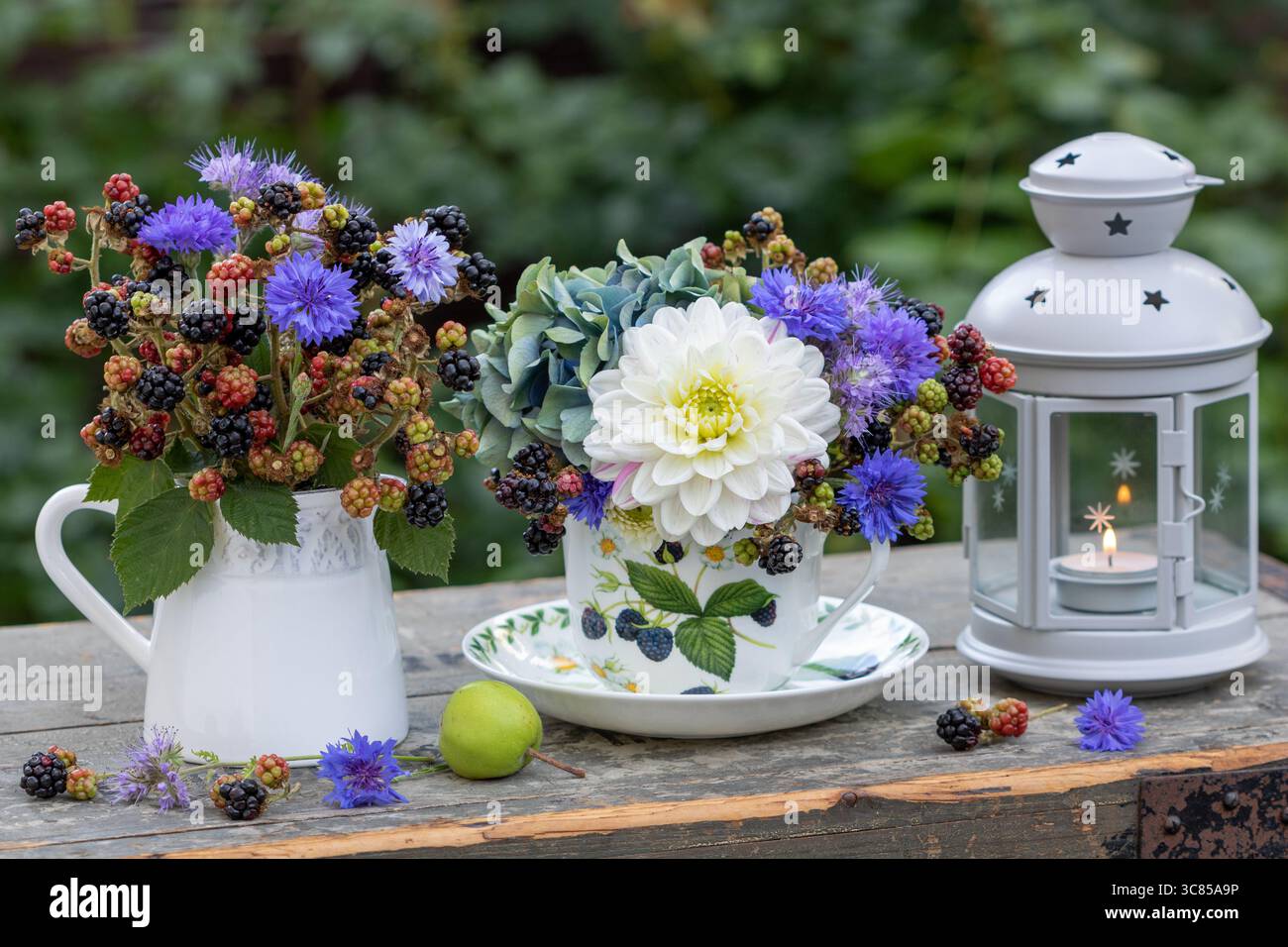 sistemazione in giardino con mazzi di dahlia, ortensie in fiore, rosa piumato e rami di mora in una tazza di porcellana, brocca e lanterna Foto Stock