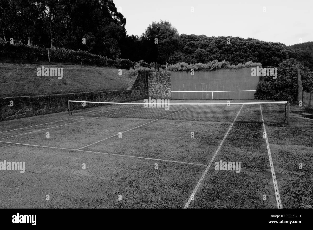 Campo da tennis d'epoca circondato da terrazze di vigneti e da una foresta lussureggiante presso lo storico maniero di Paco de Calheiros Foto Stock
