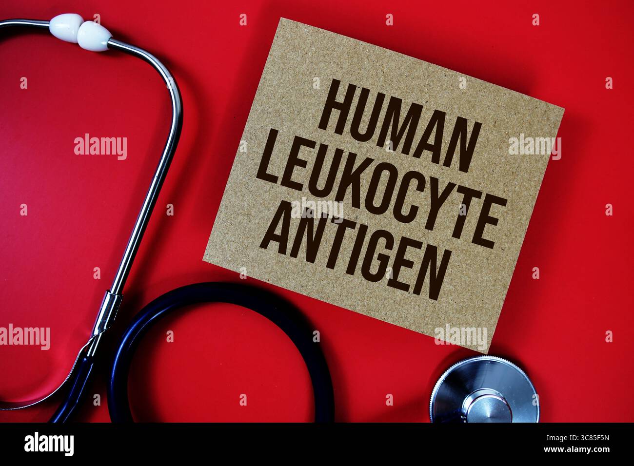 Testo sull'antigene leucocitario umano scritto su carta con stetoscopio su sfondo rosso Foto Stock