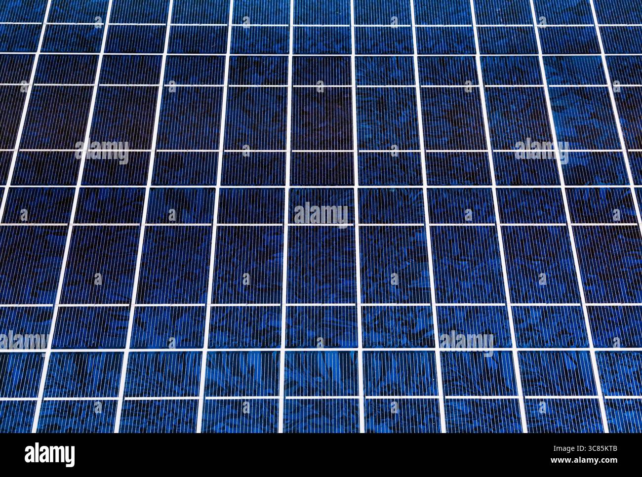 Primo piano sullo sfondo dei pannelli solari. Sistemi solari per la produzione di energia elettrica. Foto Stock