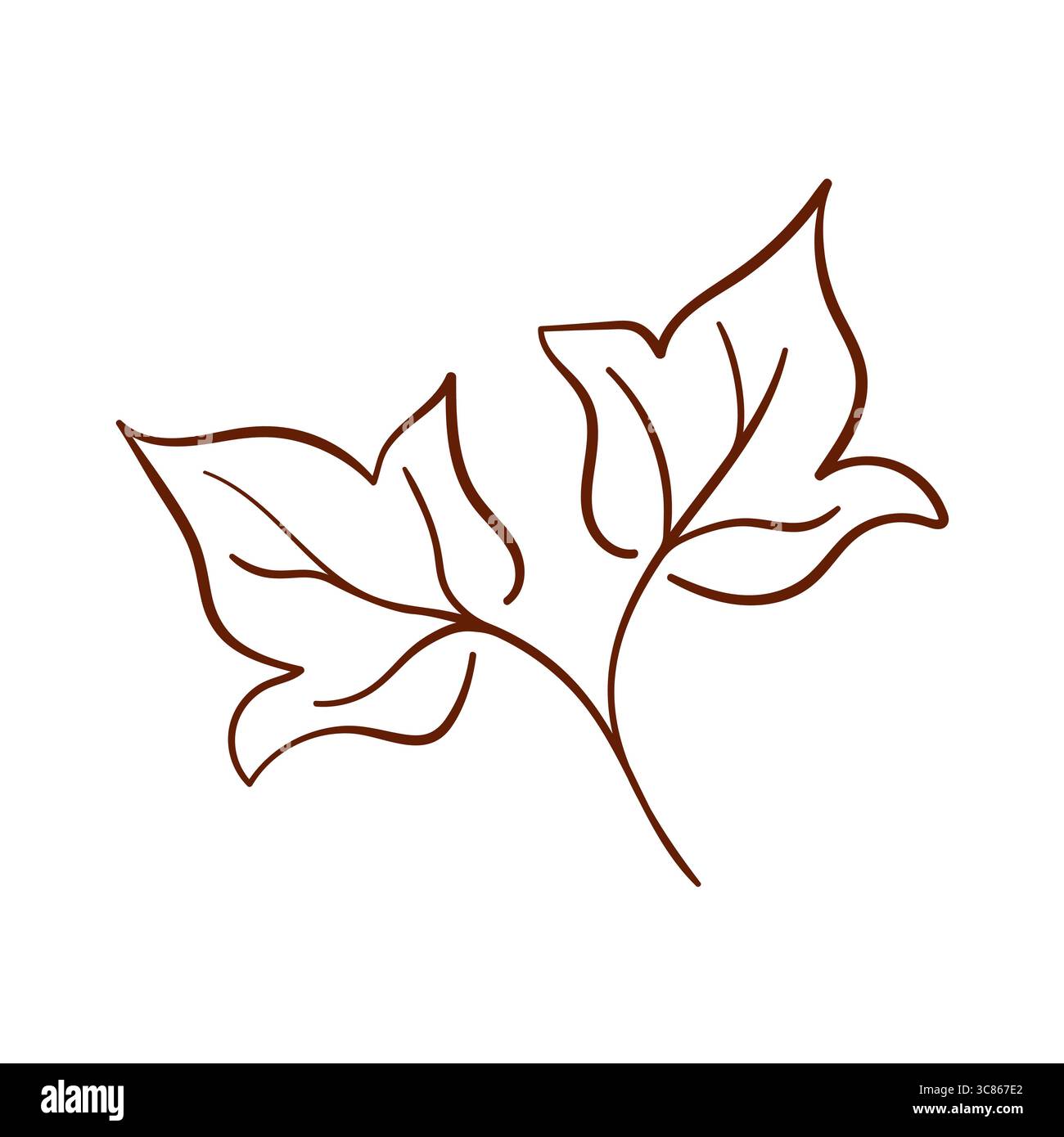 Foglie di piante di cotone in stile artistico a linea marrone isolate su sfondo bianco. Ideale per imballaggi eco-design, decorazioni tessili e botaniche naturali Illustrazione Vettoriale