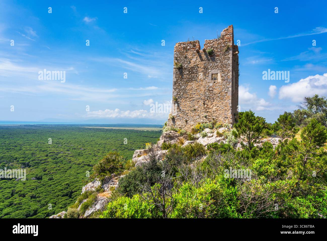 Torre di Castelmarino e vista panoramica del Parco della Maremma, noto anche come Parco dell'Uccellina. Pineta e mare sullo sfondo. Provincia di Grosseto Foto Stock