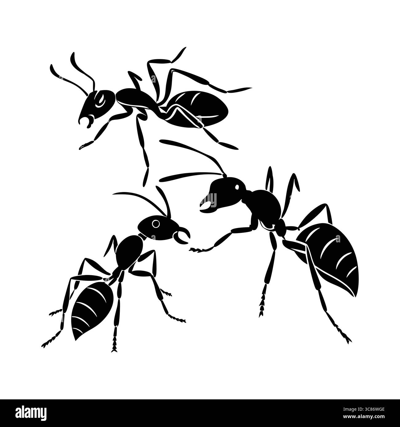 Illustrazione dettagliata della silhouette nera di tre formiche su sfondo bianco Illustrazione Vettoriale