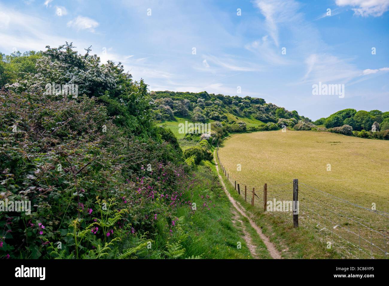Worsley Trail, Isola di Wight Foto Stock