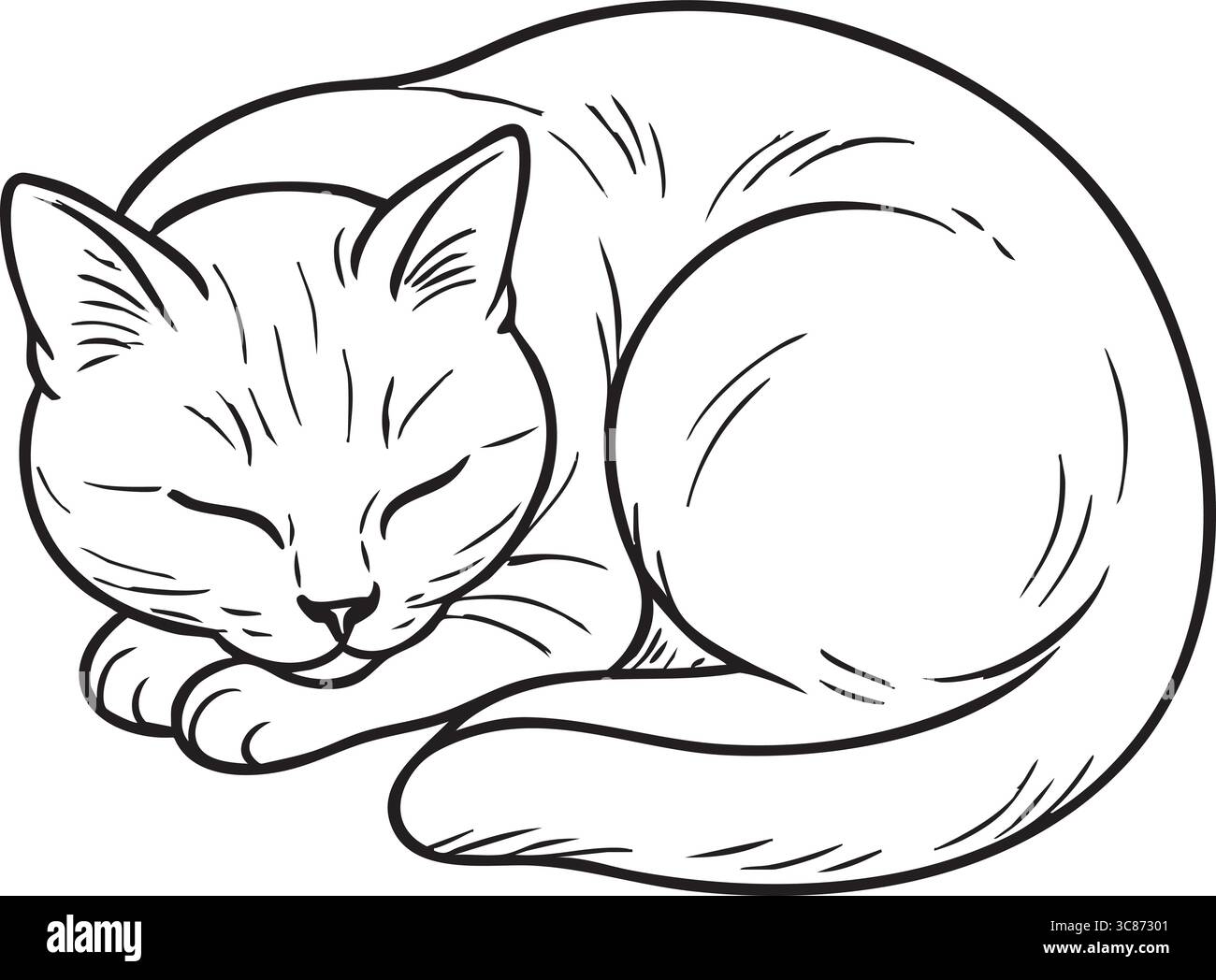 Un disegno del profilo di un gatto rannicchiato che dorme pacificamente. Illustrazione Vettoriale