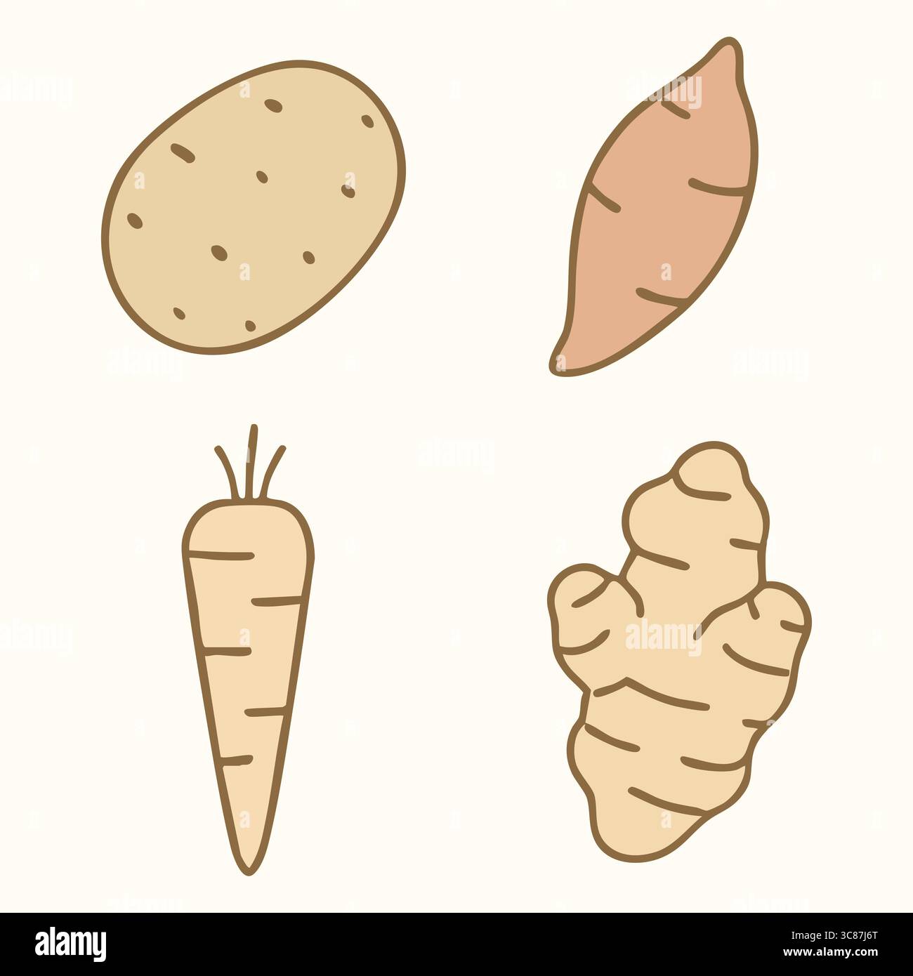 Quattro icone di verdure a radice separate mostrate senza foglie: Una patata russet, una patata dolce, una carota sottile e un pezzo di zenzero knobby, ciascuna isolata Illustrazione Vettoriale