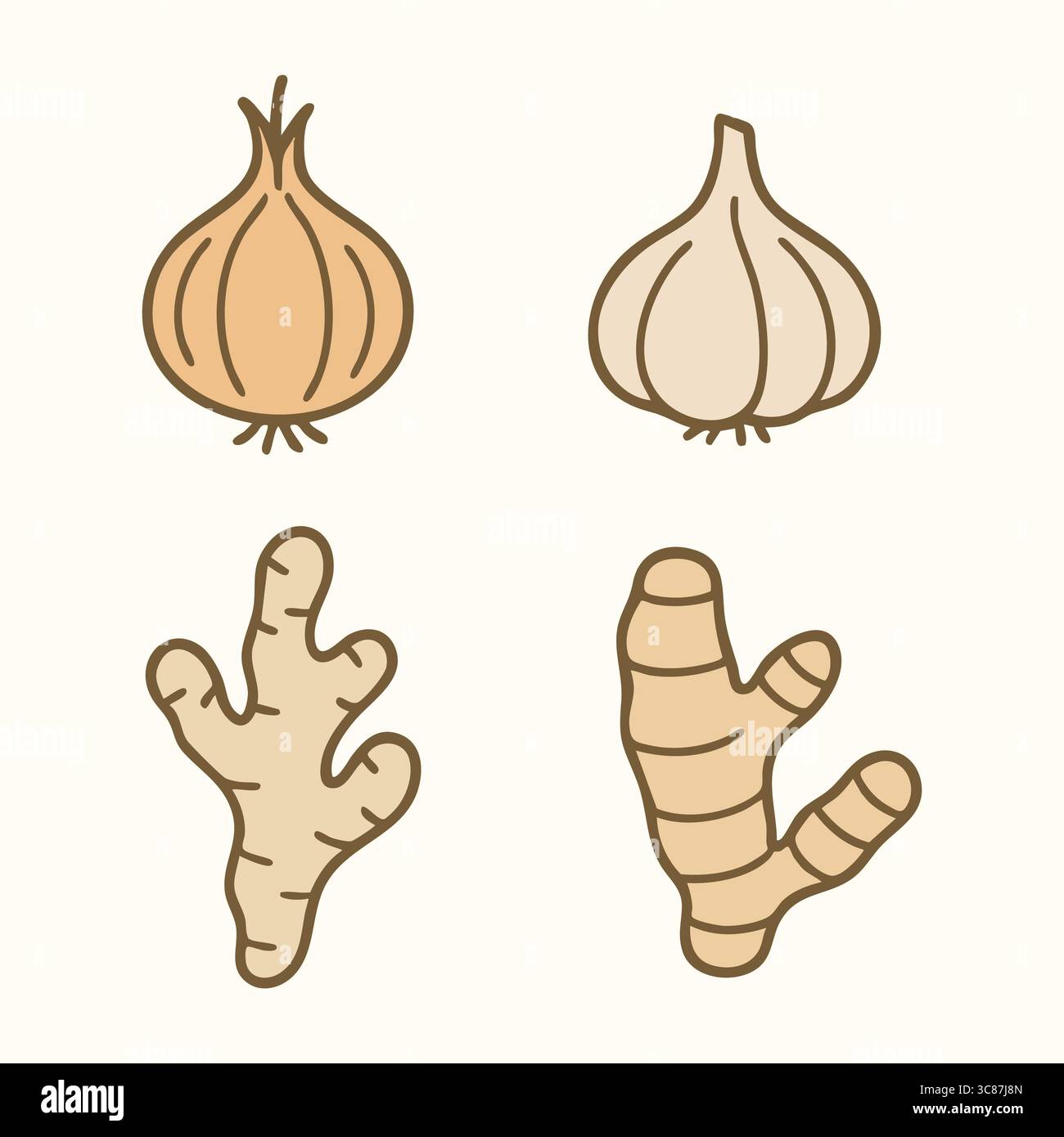 Quattro elementi botanici distinti, tra cui un bulbo di cipolla, un bulbo d'aglio, una radice di zenzero e una radice di curcuma resa in morbidi toni terrosi per rappresentare Illustrazione Vettoriale
