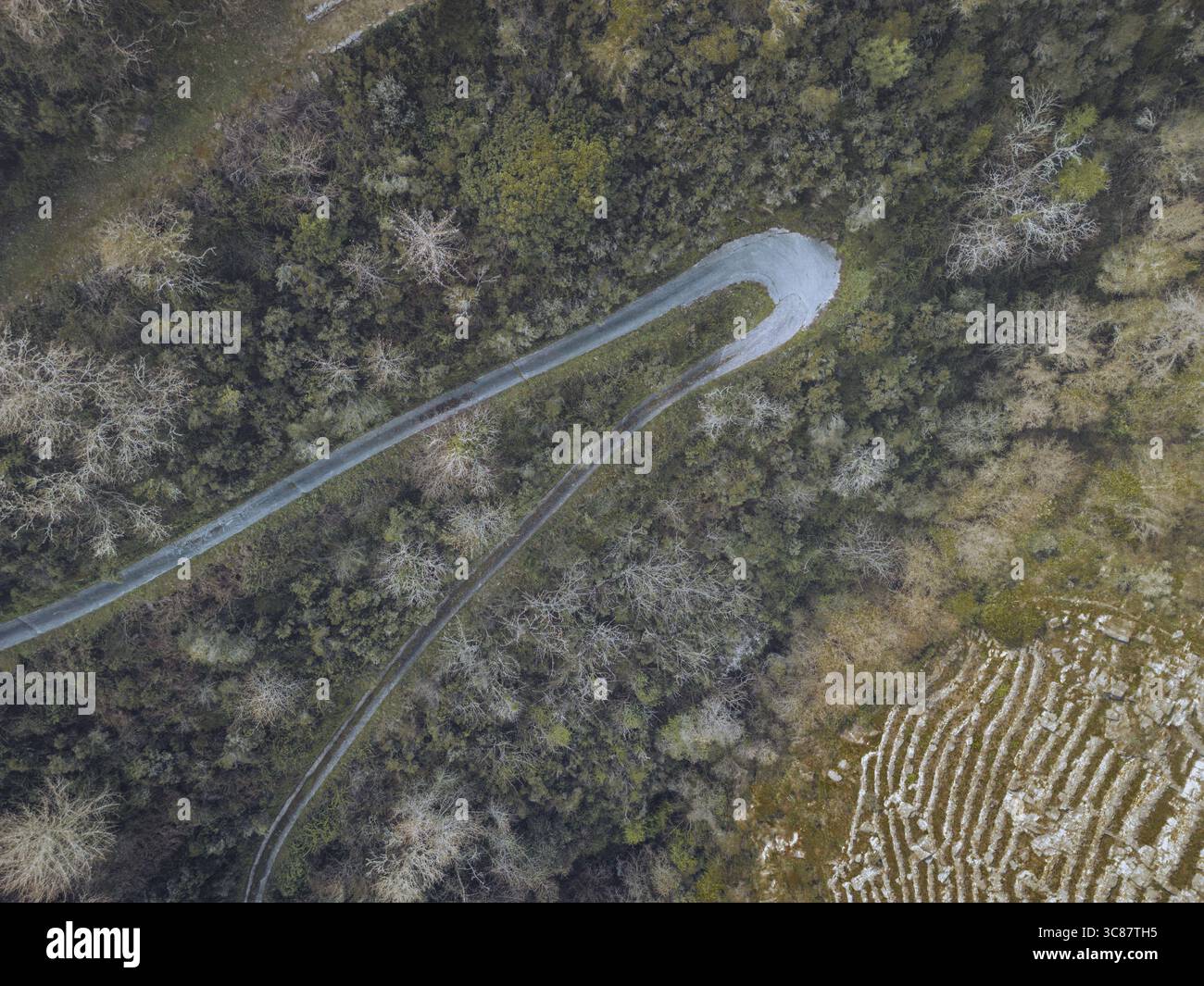 Vista aerea di una strada tortuosa che attraversa una fitta foresta, in contrasto con il paesaggio terrazzato sottostante, Ribeira Sacra, Lugo, Spagna. Foto Stock