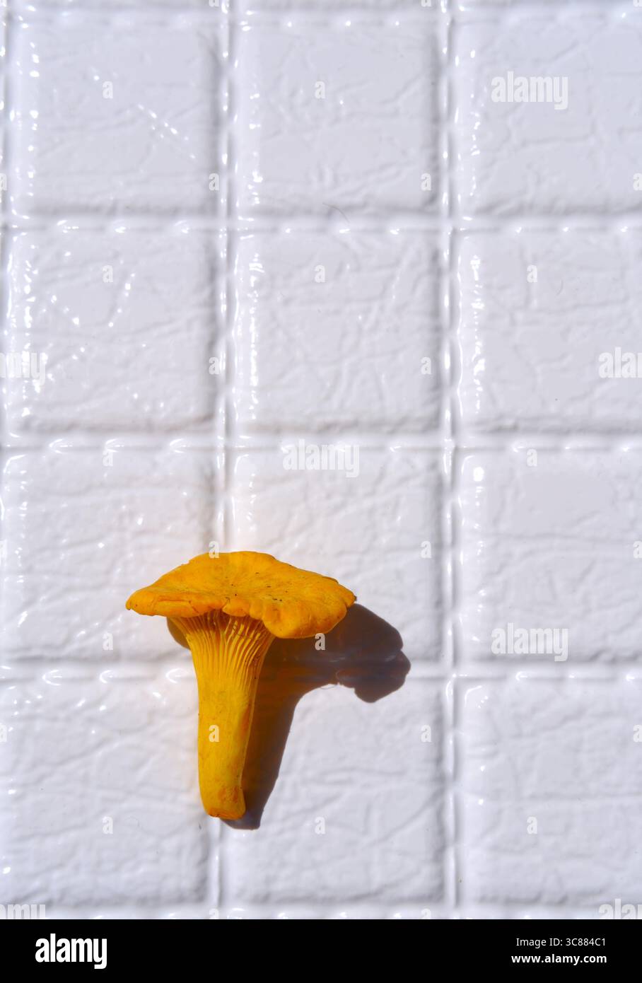 Canterelle fresche su sfondo bianco con spazio di copia. Stagione alimentare, estate. Ingrediente vegetariano o vegetariano. Menu del ristorante. Sfondo verticale Foto Stock